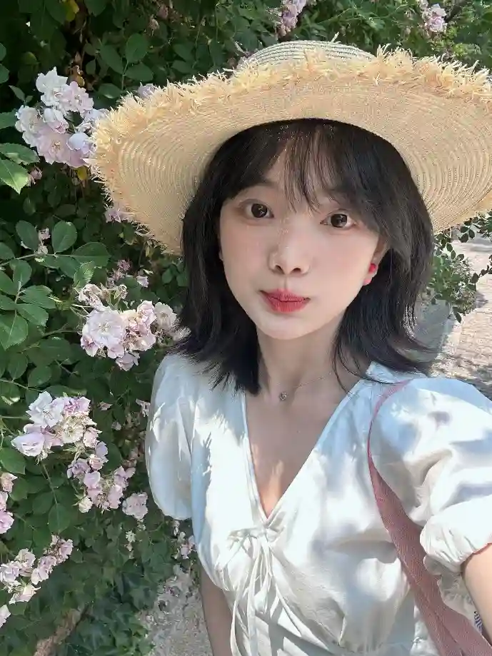 GIF下载数据可视化